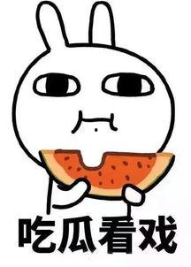 娱乐吃瓜酱爆瓜,揭秘娱乐圈最新热点事件